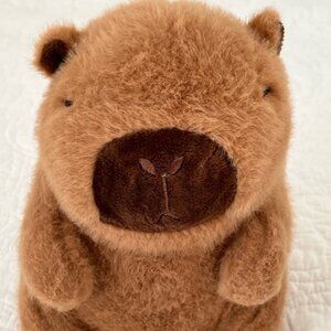 CAPYBARA PLUSH AND BRACLET SET